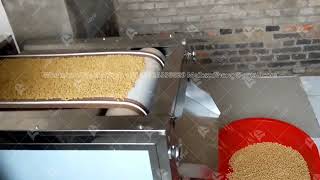 Microwave drying process for pet food [upl. by Freedman]