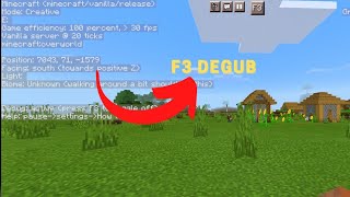 HOW TO DOWNLOAD DEBUG SCREEN IN MINECRAFT PE  F3 key in Minecraft PE [upl. by Derdle]