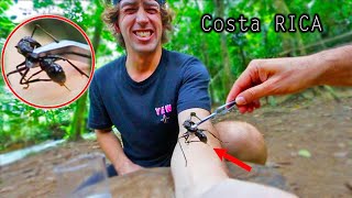 STUNG by a BULLET ANT 8 TIMES Worlds strongest insect sting [upl. by Angell]