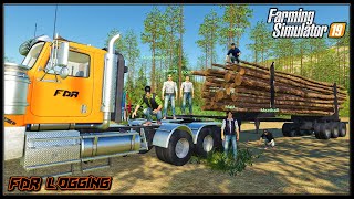 Back To Port Murray  Logging Crew 105  Farming Simulator 2019  FDR Logging [upl. by Oicaroh]