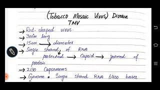 Tobacco mosaic virus disease [upl. by Meeks]