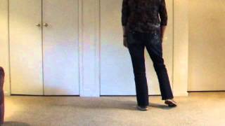 Chilly Cha Cha Beginner Line Dance Walk Through [upl. by Llenyar]