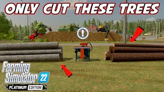 Most Profitable Tree In Farming Simulator 22 [upl. by Reteip626]