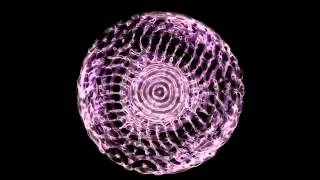 DJ ELBE  lackaboom  Water Cymatics by MagicAqua [upl. by Mintun]