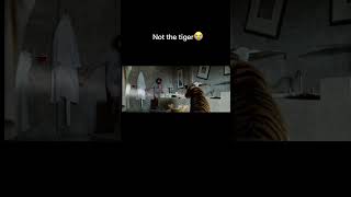 Hangover  Tiger scene hangover trending foryou explore funny throwback darkhumor tiger [upl. by Nosdivad189]