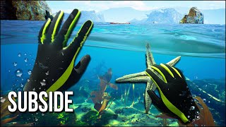 Subside  Diving Into Some Of The Most Beautiful Realistic Waters Ive Seen In VR [upl. by Tasiana672]