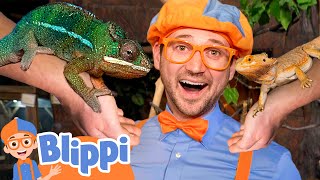 Blippi Meets Reptile Friends at the Aquarium  Educational Videos for Kids [upl. by Aierb312]