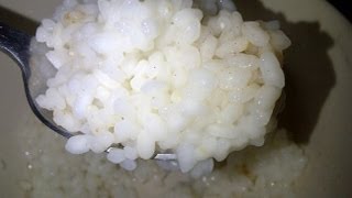 Syn Free Rice Pudding Recipe Slimming World [upl. by Artapoelc]