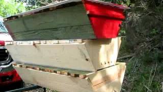 Building your Top Bar Hive  Learning Beekeeping [upl. by Tnarg]