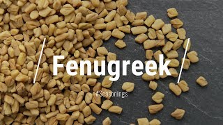 🔵 All About Fenugreek [upl. by Vas]