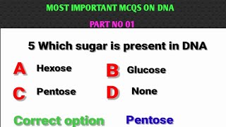 structure of DNA DNA structure mcqs on DNA QUIZ CENTRE [upl. by Aisayt864]