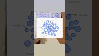 Golgi apparatus structure and function short viral video  india [upl. by Silohcin]