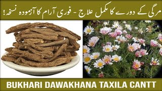 Effective Herbal Remedy to Prevent Epileptic Seizures  مرگی کے دورے روکنے والا نسخہ [upl. by Maguire]