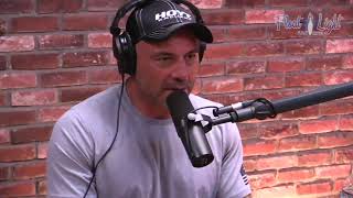 Joe Rogan Explains the Benefits of the Isolation Tank [upl. by Gower756]