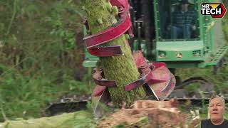 Extreme Dangerous Fastest Big Chainsaw Cutting Tree Machines  Biggest Heavy Equipment Machines 10 [upl. by Anilehs]