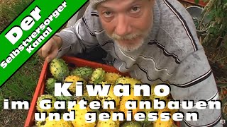 Kiwano im Garten anbauen und geniessen [upl. by Nats]