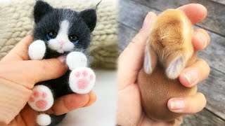 AWW Animals SOO Cute Cute baby animals Videos Compilation cute moment of the animals 4 [upl. by Kcid338]