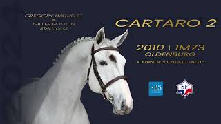 Cartaro 2  Grégory Wathelet amp Gilles Botton Stallions [upl. by Esekram]