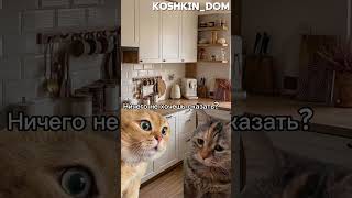 cat котик 🤣🤣🤣 [upl. by Kenwood]