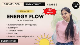 Energy Flow in an Ecosystem🌳Trophic levelsLaw of thermodynamicsBSc 6th Sem BOTANY unit 2 [upl. by Domash156]