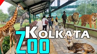 Kolkata Zoo  Alipur Zoo Kolkata  Kolkata tourist Places  अलीपुर चिड़ियाघर [upl. by Hairom]