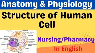 Human Cell Structure Human Anatomy and PhysiologyHAPEnglish Pharmacy and Nursing [upl. by Anovad]