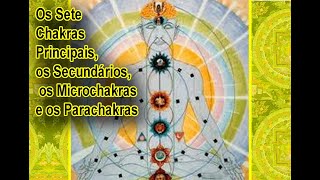 Os Sete Chakras Principais os Secundários os Microchakras e os Parachakras [upl. by Yerd]