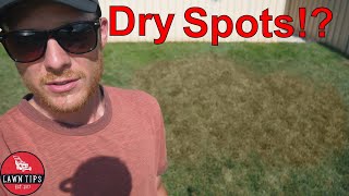 How To Stop Dry Spots in Your Lawn [upl. by Mark244]