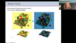 Biopsychology  Colour theories [upl. by Ynamad143]