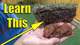 How to Improve Lawn Soil Humichar Biochar [upl. by Dom]