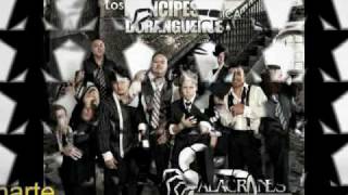 Alacranes Musical Mix 2010 [upl. by Balas]