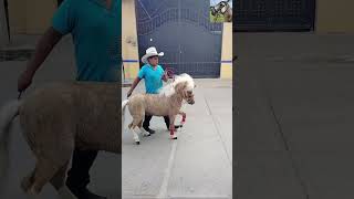 Hipica 2024 shorts shortvideo caballos horse hipica ganado viral fails broma fypシ゚ [upl. by Hoehne360]