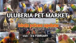 ULUBERIA PET MARKET BIRDS PRICES UPDATE  3rd FEBRUARY cheapestprice uluberiapetmarket viral [upl. by Mullen654]