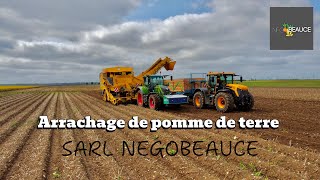 1 journée à SARL NEGOBEAUCE 🥔 [upl. by Dionisio]