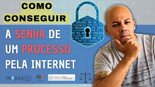 COMO CONSEGUIR A SENHA DE UM PROCESSO PELA INTERNET [upl. by Neeleuqcaj209]