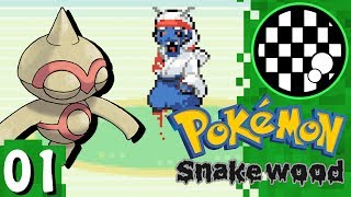 Pokemon Snakewood  PART 1 [upl. by Gautious]