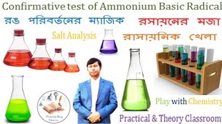 Salt analysis  Basic radical test  Ammonium radical nesslers reagent practicalamptheoryclassroom [upl. by Miyasawa809]