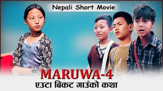 Maruwa 4 nepali short movie 2023  मरुवा ४  new nepali film 2079 [upl. by Knobloch]