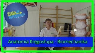 Anatomia Kręgosłupa  Biomechanika 6 FizjoTerapia HD [upl. by Aititel293]