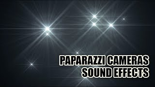 Paparazzi Camera Sound Effects 📸 Camera Sounds [upl. by Atiekram]