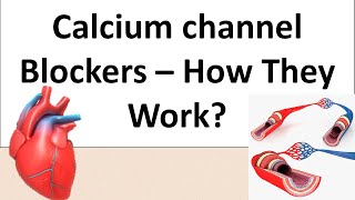 Norvasc Amlodipine  A Calcium channel blockers  Pharmacology amp Mechanism of action [upl. by Slifka]