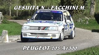 5° RALLY LESSINIA 2023  GESUITA NICOLA  FACCHINI MICHELE  PEUGEOT 205 A1300  VIDEOCLIP [upl. by Eiger]