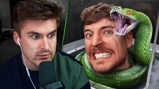 The MOST DANGEROUS MrBeast Video  Ludwig Reacts [upl. by Elburr]