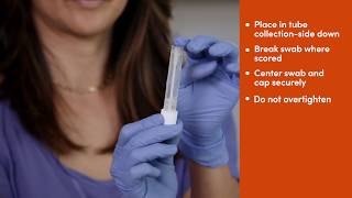 Fulgent COVID19 Nasal Swab Collection Instructions [upl. by Nannerb144]