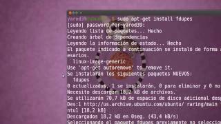 ELIMINAR ARCHIVOS DUPLICADOS CON FSLINT UBUNTU [upl. by Erodeht100]