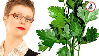 Eat More Parsley and See What Happens  Nutritional Benefits [upl. by Ainot]