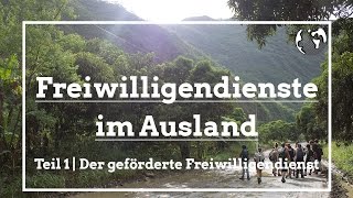 Freiwilligendienste im Ausland  Freiwilligenarbeitde [upl. by Fatsug]