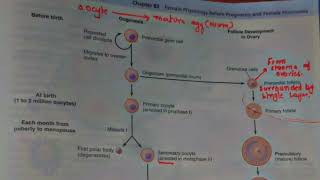 Oogenesis and Follicle development  Guyton chapter 82 [upl. by Daryle]