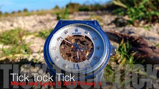 Tick Tock Tick a song about time [upl. by Arakahs]