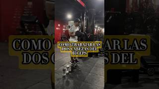 Solo necesitas estos 3 ejercicios para el biceps motivacion biceps bicepsworkout [upl. by Lail]